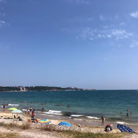 Vp Bellevue رافدا
